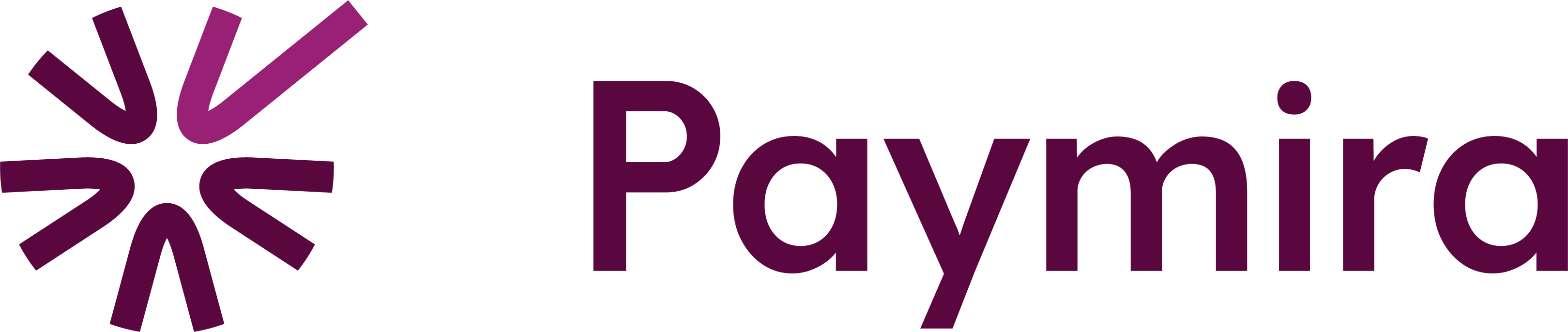 Paymira Logo